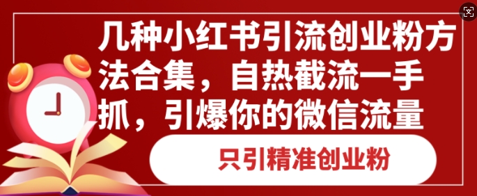 几种小红书引流创业粉方法合集，自热截流一手抓，引爆你的微信流量-冒泡网