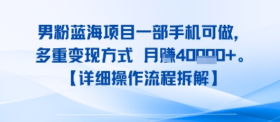 8月新男粉蓝海项目一部手机可做,多重变现方式 月入4W+【详细操作流程拆解】-冒泡网
