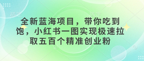 全新蓝海项目，带你吃到饱，小红书一图实现极速拉取五百个精准创业粉-冒泡网