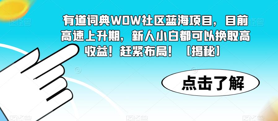 有道词典WOW社区蓝海项目，目前高速上升期，新人小白都可以换取高收益！赶紧布局！【揭秘】-冒泡网