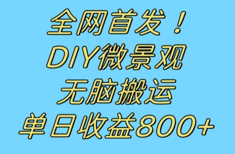 全网首发冷门赛道!DIY微景观,无脑搬运视频,日收益800+【揭秘】-冒泡网