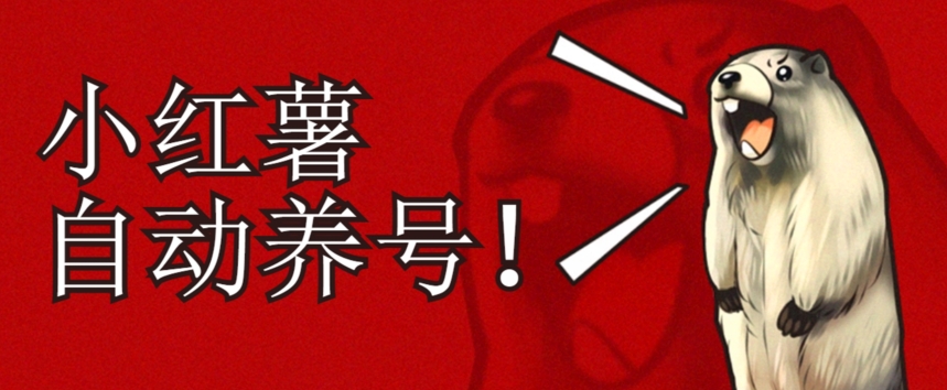 小红书养号秘籍，如何自动涨粉清晰系统标签打造高权重账号【揭秘】-冒泡网