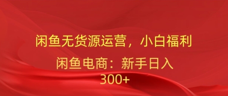 闲鱼无货源运营,小白福利,日入300加-冒泡网