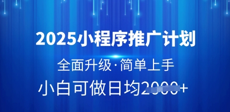 2025小程序推广计划，全面升级，简单上手，日均多张【揭秘】-冒泡网