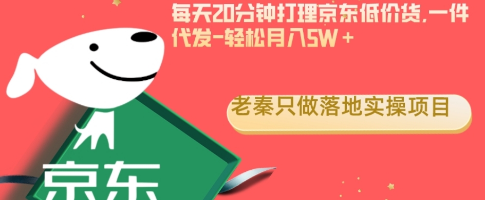 每天20分钟打理京东低价货，一件代发-轻松月入5W＋-冒泡网