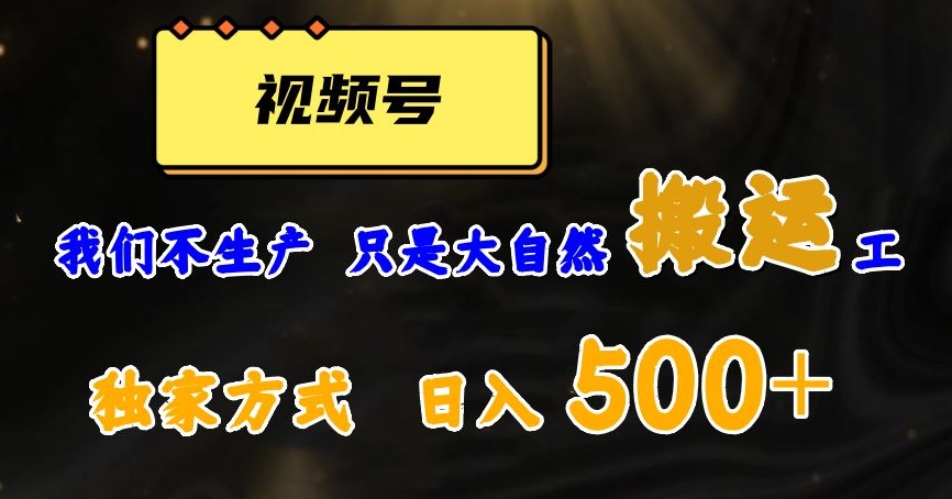 视频号轻松搬运日赚500+，一个1分钟1条原创视频【揭秘】-冒泡网