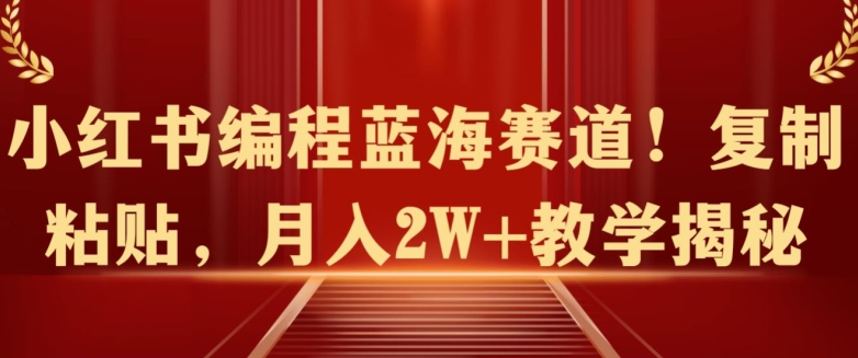 小红书编程蓝海赛道!复制粘贴，月入2W+教学揭秘-冒泡网