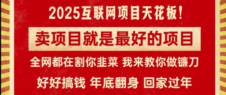 卖项目就是最好的项目，2025年互联网项目天花板-冒泡网