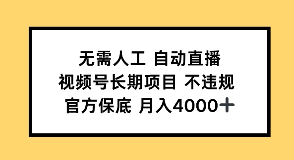 无需人工自动直播，视频号长期项目 不违规，官方保底月入4k左右-冒泡网