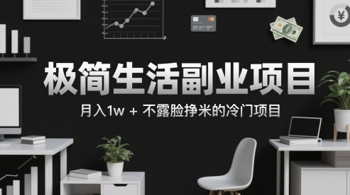 极简生活副业项目，月入1w+不露脸挣米的冷门项目-冒泡网