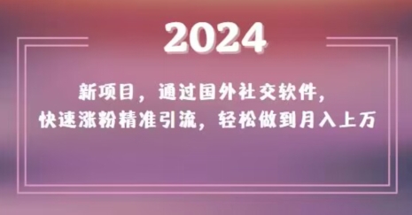 新项目，通过国外社交软件，快速涨粉精准引流，轻松做到月入上万【揭秘】-冒泡网