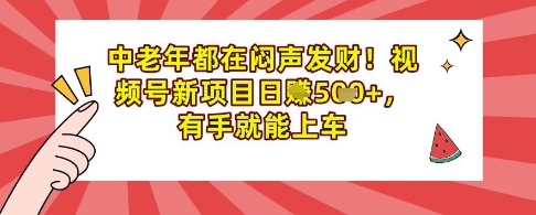 中老年都在闷声发财,视频号新项目日入多张,有手就能上车-冒泡网