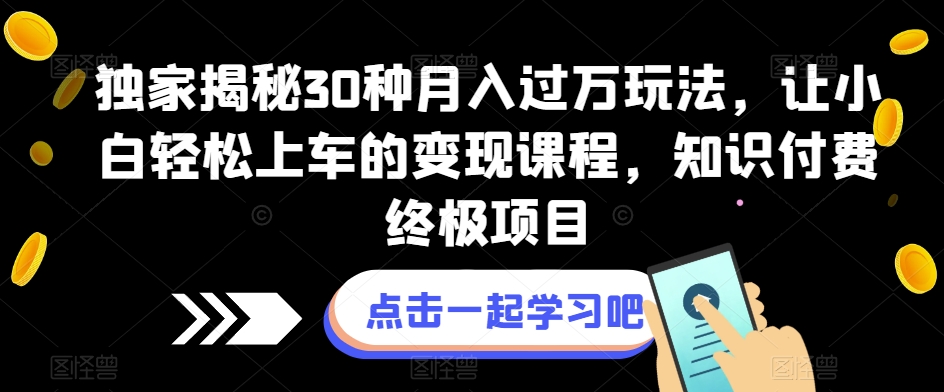 独家揭秘30种月入过万玩法，让小白轻松上车的变现课程，知识付费终极项目【揭秘】-冒泡网