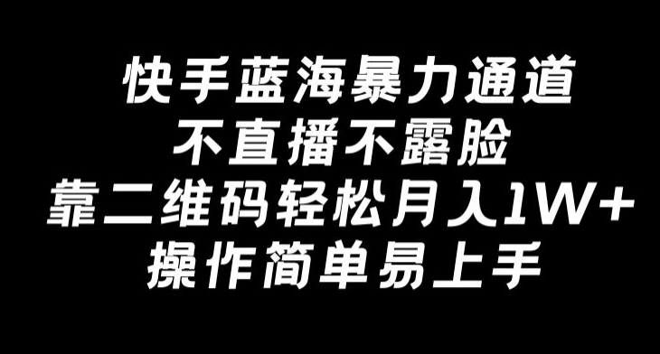 快手蓝海暴力通道，不直播不露脸，靠二维码轻松月入1W+，操作简单易上手-冒泡网