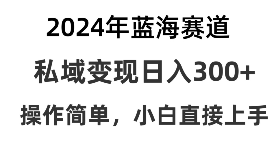 抖音蓝海赛道,私域变现日入300+,操作简单,每年只需一小时,纯小白可直接上手-冒泡网