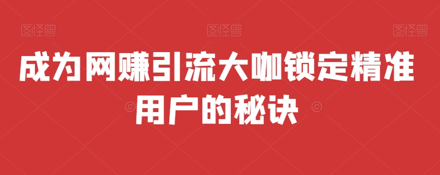 成为网创引流大咖锁定精准用户的秘诀-冒泡网