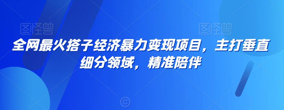 全网最火搭子经济暴力变现项目，主打垂直细分领域，精准陪伴【揭秘】-冒泡网