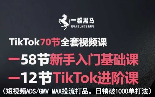 TikTok全套视频课,新手入门+进阶课,短视频ADS-GMV MAX投流打品,日销破1000单打法-冒泡网