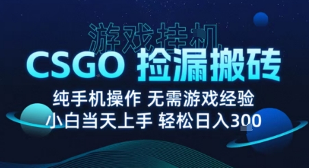 8月最新游戏搬砖,CSGO纯挂G,不需要玩游戏,实现真挂G,月入1W+【揭秘】-冒泡网