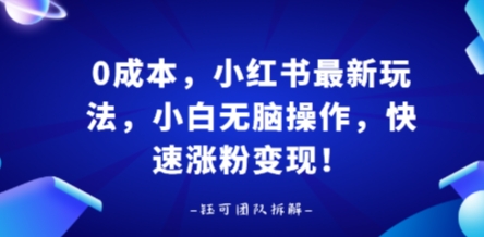 0成本,小红书最新玩法,小白无脑操作,快速涨粉变现-冒泡网