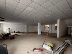 整栋全新出租旺铺、多套单间公寓