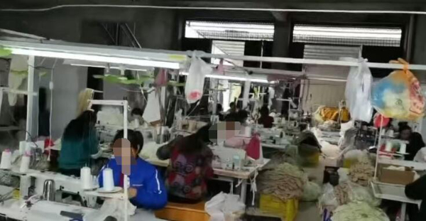 田阳制衣厂急招熟手平车位/打边车位多名 田阳制衣厂急招熟手平车位/打边车位多名