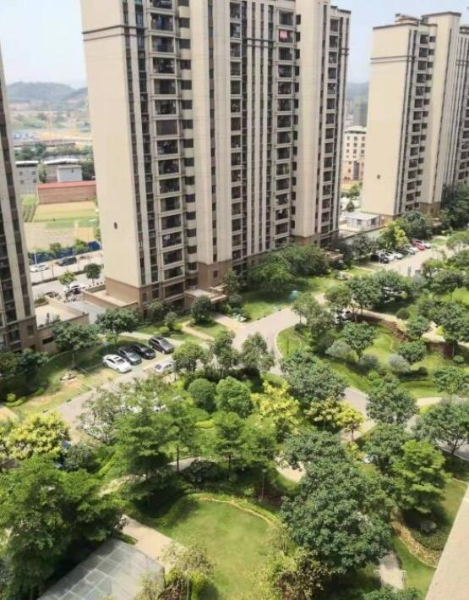 碧桂园精装修五房两厅三卫出租 碧桂园精装修五房两厅三卫出租