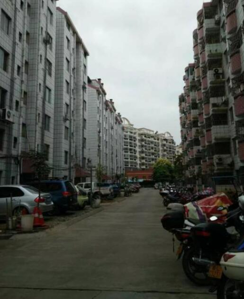 东旦小区景明苑一房一厅招租,水电费按小区收费,超便宜 东旦小区景明苑一房一厅招租,水电费按小区收费,超便宜