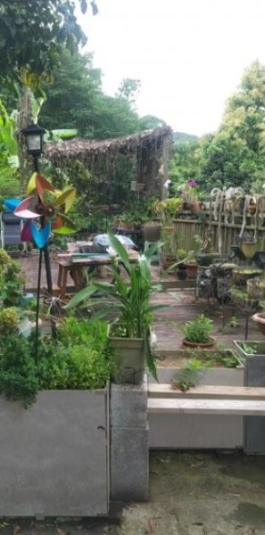 河边农庄招租或转让 河边农庄招租或转让