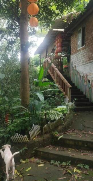 河边农庄招租或转让 河边农庄招租或转让