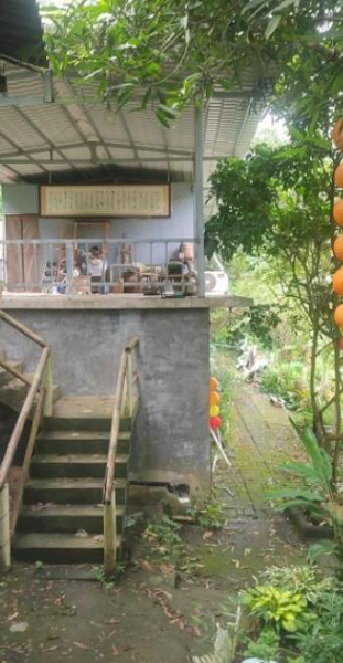 河边农庄招租或转让 河边农庄招租或转让