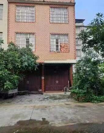 田东火车站大道大塘天地楼出售 田东火车站大道大塘天地楼出售