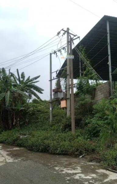 右江区有20亩场地招租于百城街道东笋路 右江区有20亩场地招租于百城街道东笋路