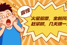 火星船票，全新风口赶紧抓，几天赚一万+摆地摊卖尾货一双能挣三四十（包含5个项目）-蜗牛学社
