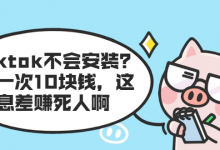 TIKTOK不会安装？装一次10块钱，这信息差赚死人啊-蜗牛学社