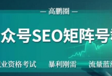 高鹏圈公众号SEO矩阵号群，实操20天纯收益25000+，普通人都能做-蜗牛学社