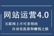 暴疯团队网站赚钱项目4.0:网站运营与盈利,实现流量与盈利自动化的赚钱之路-冒泡网