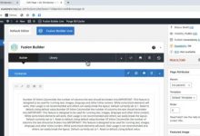 WORDPRESS从零开始外贸建站：让你掌握WORDPRESS建站，掌握GOOGLESEO流量获取-蜗牛学社