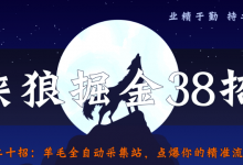 侠狼掘金38招第20招羊毛全自动采集站，点爆你的精准流量-冒泡网