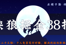 侠狼掘金38招第23招个人免签支付对接,彻底解决网站收款问题!-冒泡网
