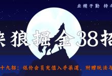 侠狼掘金38招第29招低价会员充值入手渠道,附赠玩法与思路【视频课程】-冒泡网