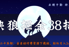 侠狼掘金38招第25招全自动付费资源下载站,轻松月入3w+-冒泡网