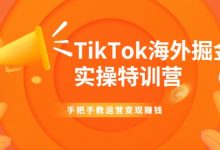 TIKTOK海外掘金实操特训营：手把手教运营变现赚钱-蜗牛学社