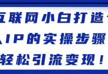 互联网小白打造个人IP的实操步骤,轻松引流变现!【视频教程】-冒泡网