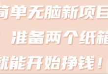 简单无脑新项目!准备两个纸箱就能开始挣钱!【视频教程】-冒泡网