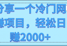 分享一个冷门网赚项目,轻松日赚2000+【视频教程】-冒泡网