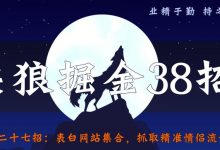 侠狼掘金38招第27招表白网站集合,抓取精准情侣流量【视频课程】-冒泡网