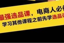 逐鹿蓝海高利润选品课:你只要能选好一个品,就意味着一年轻松几百万的利润-冒泡网