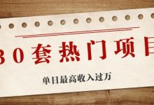 30套热门项目：单日最高收入过万 (网赚项目、朋友圈、涨粉套路、抖音、快手)等-冒泡网