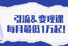 引流&变现课：分享一整套流量方法以及各个渠道收入，每月最低1万起！-冒泡网